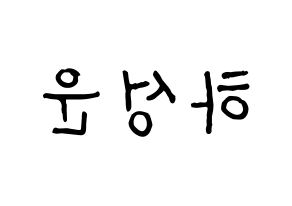 KPOP Wanna One(워너원、ワナワン) 하성운 (ハ・ソンウン) k-pop アイドル名前 ファンサボード 型紙 左右反転