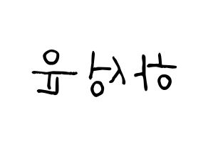 KPOP Wanna One(워너원、ワナワン) 하성운 (ハ・ソンウン) 名前 応援ボード 作り方 左右反転