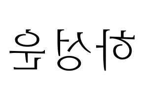 KPOP Wanna One(워너원、ワナワン) 하성운 (ハ・ソンウン) 応援ボード・うちわ　韓国語/ハングル文字型紙 左右反転