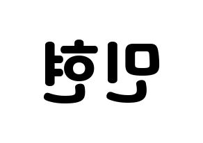 KPOP Wanna One(워너원、ワナワン) 황민현 (ファン・ミンヒョン) 応援ボード・うちわ　韓国語/ハングル文字型紙 左右反転