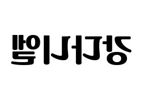 KPOP Wanna One(워너원、ワナワン) 강다니엘 (カン・ダニエル) コンサート用　応援ボード・うちわ　韓国語/ハングル文字型紙 左右反転