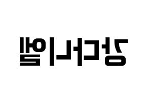 KPOP Wanna One(워너원、ワナワン) 강다니엘 (カン・ダニエル) k-pop アイドル名前 ファンサボード 型紙 左右反転