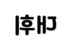 KPOP Wanna One(워너원、ワナワン) 이대휘 (イ・デフィ) 応援ボード・うちわ　韓国語/ハングル文字型紙 左右反転