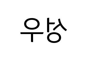 KPOP Wanna One(워너원、ワナワン) 옹성우 (オン・ソンウ) コンサート用　応援ボード・うちわ　韓国語/ハングル文字型紙 左右反転