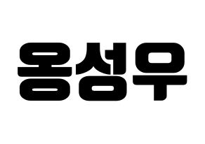 KPOP Wanna One(워너원、ワナワン) 옹성우 (オン・ソンウ) コンサート用　応援ボード・うちわ　韓国語/ハングル文字型紙 通常