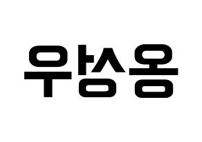 KPOP Wanna One(워너원、ワナワン) 옹성우 (オン・ソンウ) k-pop アイドル名前 ファンサボード 型紙 左右反転