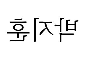 KPOP Wanna One(워너원、ワナワン) 박지훈 (パク・ジフン) 応援ボード・うちわ　韓国語/ハングル文字型紙 左右反転