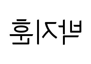 KPOP Wanna One(워너원、ワナワン) 박지훈 (パク・ジフン) コンサート用　応援ボード・うちわ　韓国語/ハングル文字型紙 左右反転