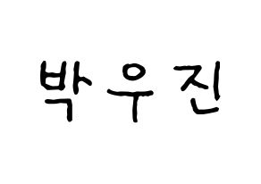 KPOP Wanna One(워너원、ワナワン) 박우진 (パク・ウジン) k-pop アイドル名前 ファンサボード 型紙 通常