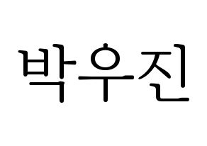 KPOP Wanna One(워너원、ワナワン) 박우진 (パク・ウジン) 応援ボード・うちわ　韓国語/ハングル文字型紙 通常