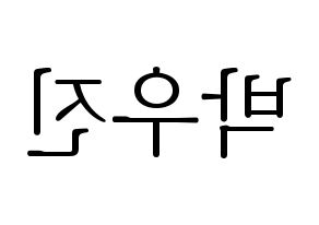KPOP Wanna One(워너원、ワナワン) 박우진 (パク・ウジン) 応援ボード・うちわ　韓国語/ハングル文字型紙 左右反転