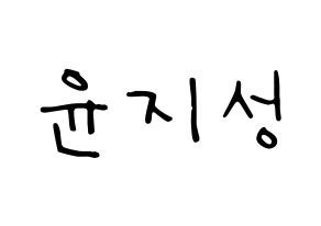 KPOP Wanna One(워너원、ワナワン) 윤지성 (ユン・ジソン) 応援ボード ハングル 型紙  通常
