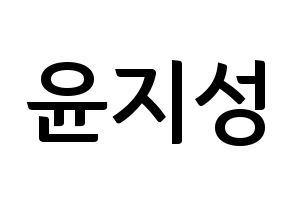 KPOP Wanna One(워너원、ワナワン) 윤지성 (ユン・ジソン) k-pop アイドル名前 ファンサボード 型紙 通常