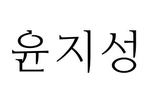 KPOP Wanna One(워너원、ワナワン) 윤지성 (ユン・ジソン) 応援ボード・うちわ　韓国語/ハングル文字型紙 通常