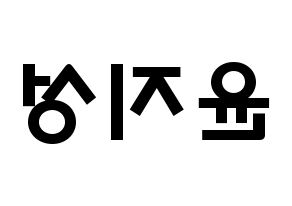 KPOP Wanna One(워너원、ワナワン) 윤지성 (ユン・ジソン, ユン・ジソン) 応援ボード、うちわ無料型紙、応援グッズ 左右反転