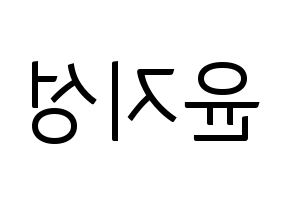 KPOP Wanna One(워너원、ワナワン) 윤지성 (ユン・ジソン) コンサート用　応援ボード・うちわ　韓国語/ハングル文字型紙 左右反転
