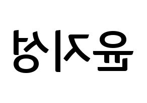 KPOP Wanna One(워너원、ワナワン) 윤지성 (ユン・ジソン) k-pop アイドル名前 ファンサボード 型紙 左右反転