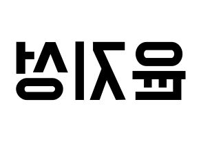 KPOP Wanna One(워너원、ワナワン) 윤지성 (ユン・ジソン) 名前 応援ボード 作り方 左右反転