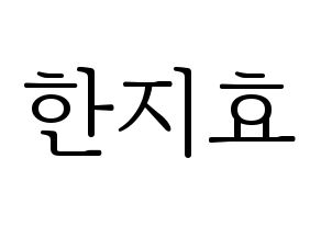 KPOP Weeekly(위클리、ウィクリー) 지한 (ジハン) 応援ボード・うちわ　韓国語/ハングル文字型紙 通常