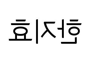 KPOP Weeekly(위클리、ウィクリー) 지한 (ジハン) コンサート用　応援ボード・うちわ　韓国語/ハングル文字型紙 左右反転