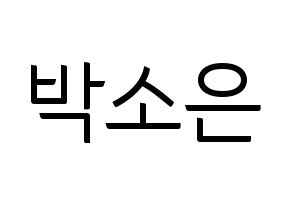 KPOP Weeekly(위클리、ウィクリー) 박소은 (パク・ソウン) コンサート用　応援ボード・うちわ　韓国語/ハングル文字型紙 通常