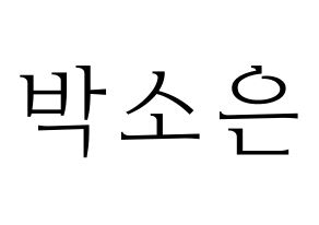 KPOP Weeekly(위클리、ウィクリー) 박소은 (パク・ソウン) 応援ボード・うちわ　韓国語/ハングル文字型紙 通常