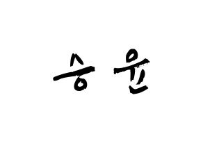 KPOP WINNER(위너、ウィナー) 강승윤 (カン・スンユン, カン・スンユン) 応援ボード、うちわ無料型紙、応援グッズ 通常