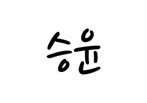 KPOP WINNER(위너、ウィナー) 강승윤 (カン・スンユン) 応援ボード ハングル 型紙  通常