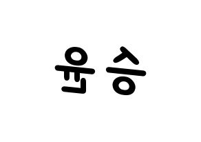 KPOP WINNER(위너、ウィナー) 강승윤 (カン・スンユン) 名前 応援ボード 作り方 左右反転