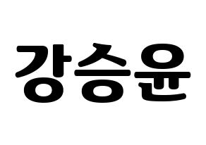 KPOP WINNER(위너、ウィナー) 강승윤 (カン・スンユン) コンサート用　応援ボード・うちわ　韓国語/ハングル文字型紙 通常