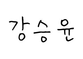 KPOP WINNER(위너、ウィナー) 강승윤 (カン・スンユン) k-pop 応援ボード メッセージ 型紙 通常