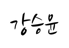 KPOP WINNER(위너、ウィナー) 강승윤 (カン・スンユン) k-pop 応援ボード メッセージ 型紙 通常