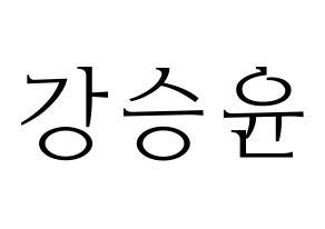 KPOP WINNER(위너、ウィナー) 강승윤 (カン・スンユン) 応援ボード・うちわ　韓国語/ハングル文字型紙 通常
