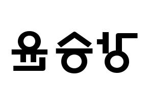 KPOP WINNER(위너、ウィナー) 강승윤 (カン・スンユン, カン・スンユン) 応援ボード、うちわ無料型紙、応援グッズ 左右反転