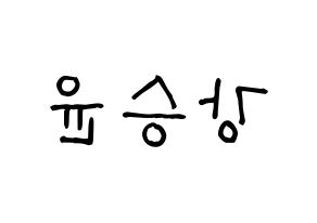 KPOP WINNER(위너、ウィナー) 강승윤 (カン・スンユン) 名前 応援ボード 作り方 左右反転