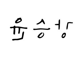 KPOP WINNER(위너、ウィナー) 강승윤 (カン・スンユン) 応援ボード ハングル 型紙  左右反転