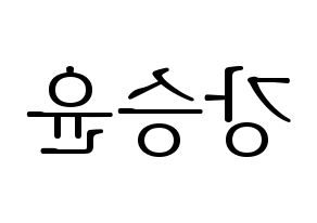 KPOP WINNER(위너、ウィナー) 강승윤 (カン・スンユン) 応援ボード・うちわ　韓国語/ハングル文字型紙 左右反転