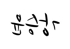 KPOP WINNER(위너、ウィナー) 강승윤 (カン・スンユン) k-pop 応援ボード メッセージ 型紙 左右反転