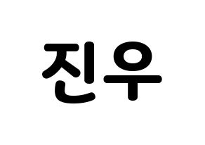 KPOP WINNER(위너、ウィナー) 김진우 (キム・ジヌ) 応援ボード・うちわ　韓国語/ハングル文字型紙 通常