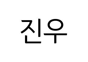 KPOP WINNER(위너、ウィナー) 김진우 (キム・ジヌ) コンサート用　応援ボード・うちわ　韓国語/ハングル文字型紙 通常