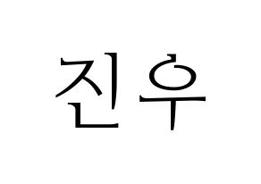KPOP WINNER(위너、ウィナー) 김진우 (キム・ジヌ) 応援ボード・うちわ　韓国語/ハングル文字型紙 通常