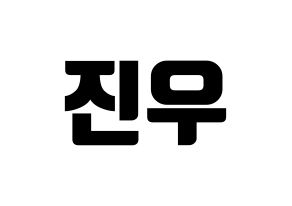 KPOP WINNER(위너、ウィナー) 김진우 (キム・ジヌ) コンサート用　応援ボード・うちわ　韓国語/ハングル文字型紙 通常