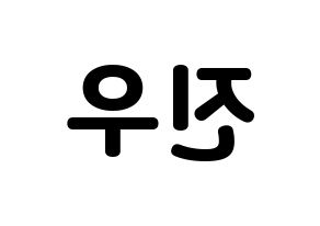 KPOP WINNER(위너、ウィナー) 김진우 (キム・ジヌ) 応援ボード・うちわ　韓国語/ハングル文字型紙 左右反転