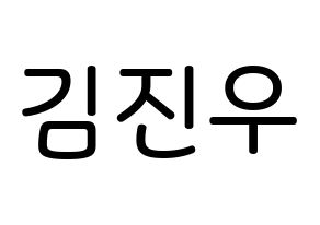 KPOP WINNER(위너、ウィナー) 김진우 (キム・ジヌ, キム・ジヌ) 無料サイン会用、イベント会用応援ボード型紙 通常