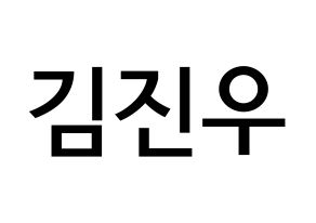 KPOP WINNER(위너、ウィナー) 김진우 (キム・ジヌ, キム・ジヌ) 無料サイン会用、イベント会用応援ボード型紙 通常