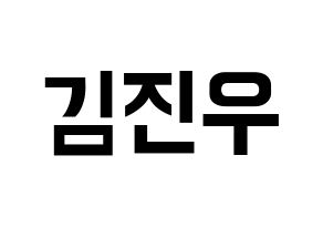 KPOP WINNER(위너、ウィナー) 김진우 (キム・ジヌ) k-pop アイドル名前 ファンサボード 型紙 通常