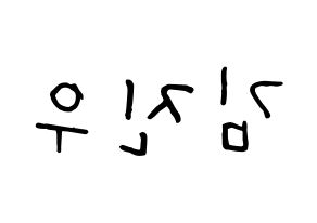 KPOP WINNER(위너、ウィナー) 김진우 (キム・ジヌ) k-pop 応援ボード メッセージ 型紙 左右反転