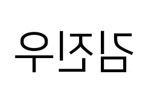 KPOP WINNER(위너、ウィナー) 김진우 (キム・ジヌ) プリント用応援ボード型紙、うちわ型紙　韓国語/ハングル文字型紙 左右反転