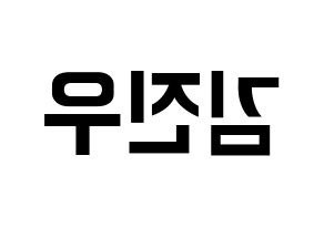 KPOP WINNER(위너、ウィナー) 김진우 (キム・ジヌ) k-pop アイドル名前 ファンサボード 型紙 左右反転