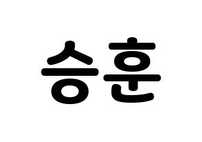 KPOP WINNER(위너、ウィナー) 이승훈 (イ・スンフン) 応援ボード・うちわ　韓国語/ハングル文字型紙 通常